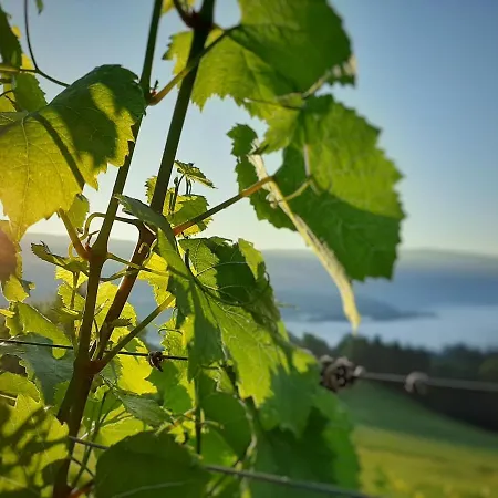 Auszeit Am Weinhof Apartmán Loschental
