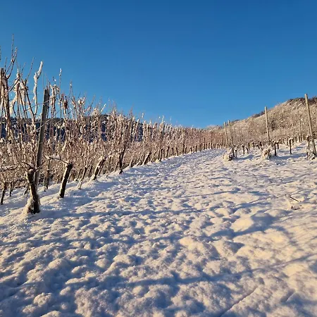 Apartament Auszeit Am Weinhof *