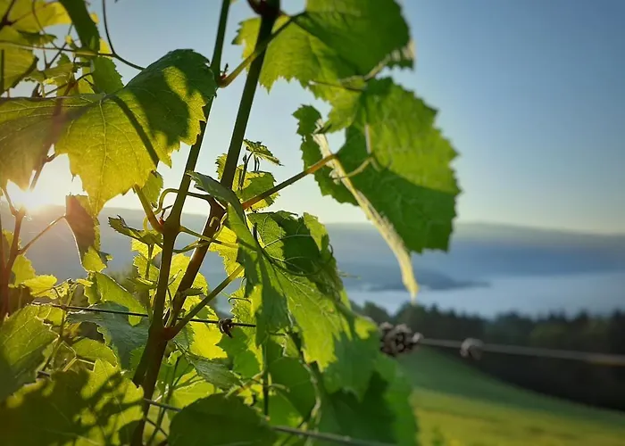 Auszeit Am Weinhof דירה Loschental