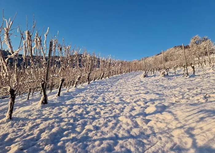 דירה Auszeit Am Weinhof *